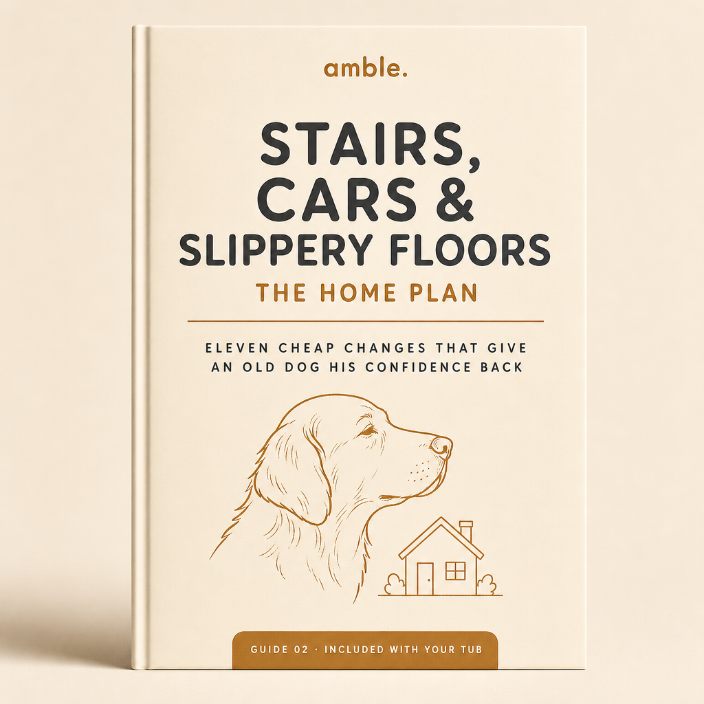 Stairs, Cars & Slippery Floors: The Home Plan (ebook)