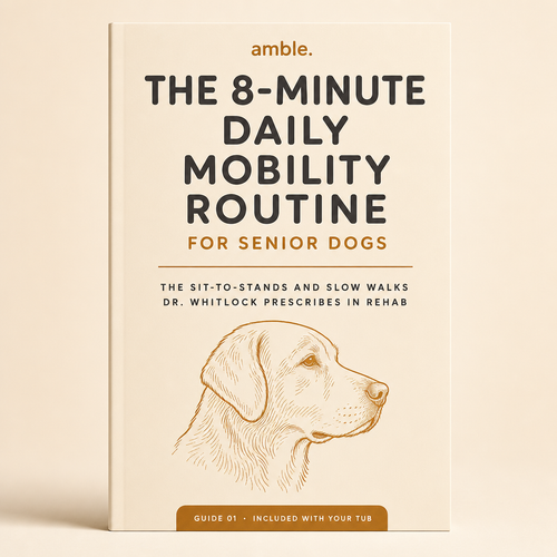 The 8-Minute Daily Mobility Routine For Senior Dogs (ebook)