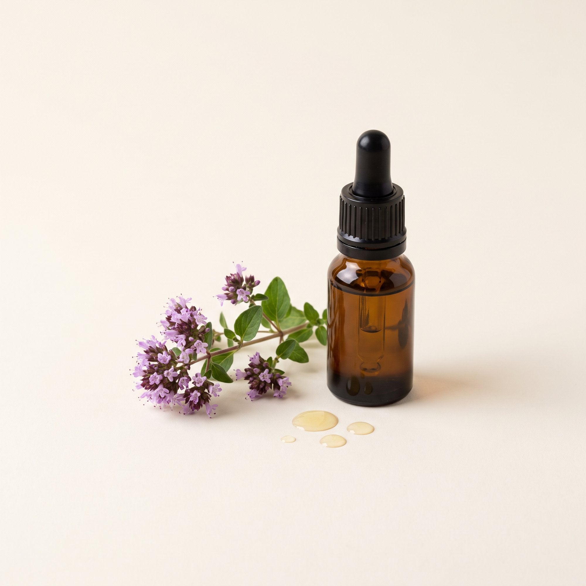 Wild Mediterranean oregano