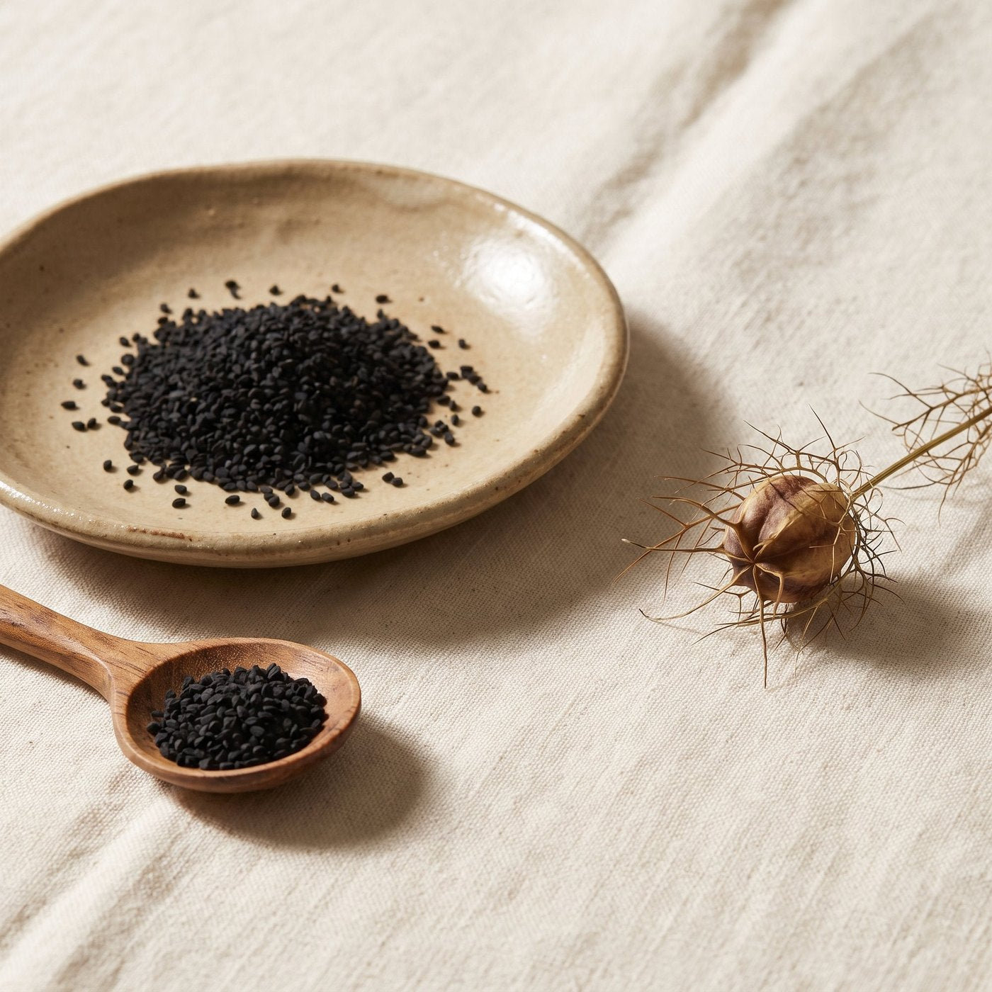 Nigella sativa black seed